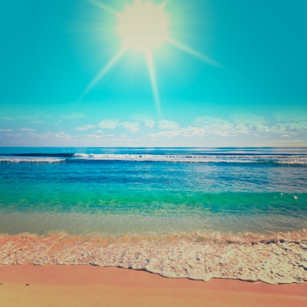 Meet your Posher, Bee 🐝